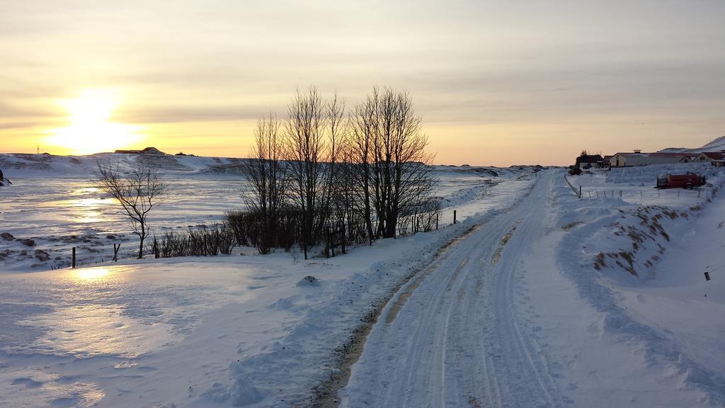 Eldhraun Guesthouse South Iceland 外观 照片