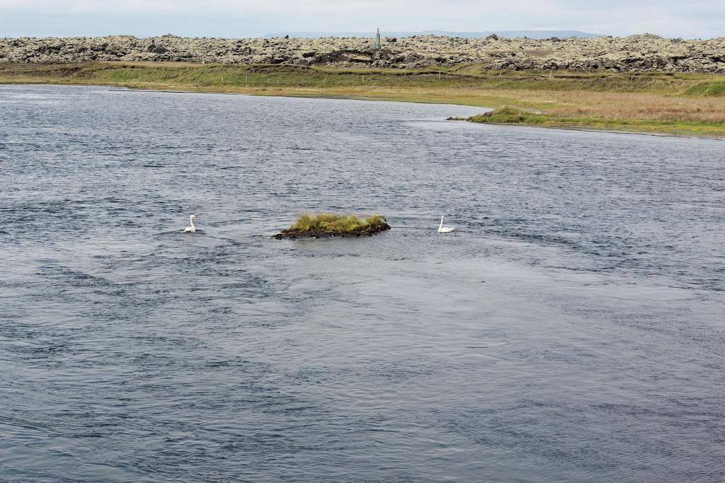 Eldhraun Guesthouse South Iceland 外观 照片